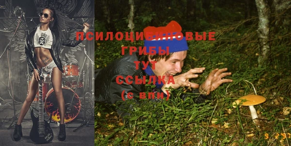 ешки Волосово