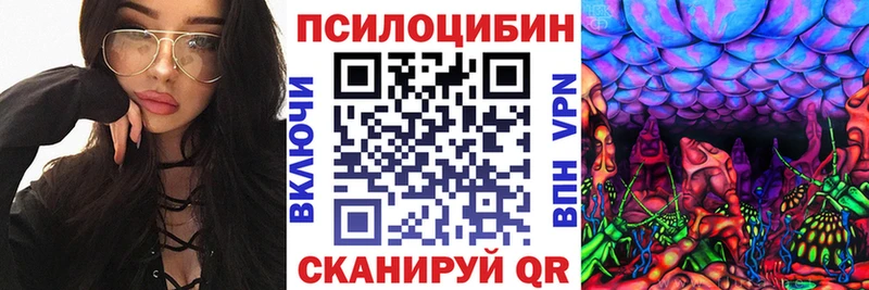Галлюциногенные грибы Psilocybine cubensis  Купить где  Фёдоровский 